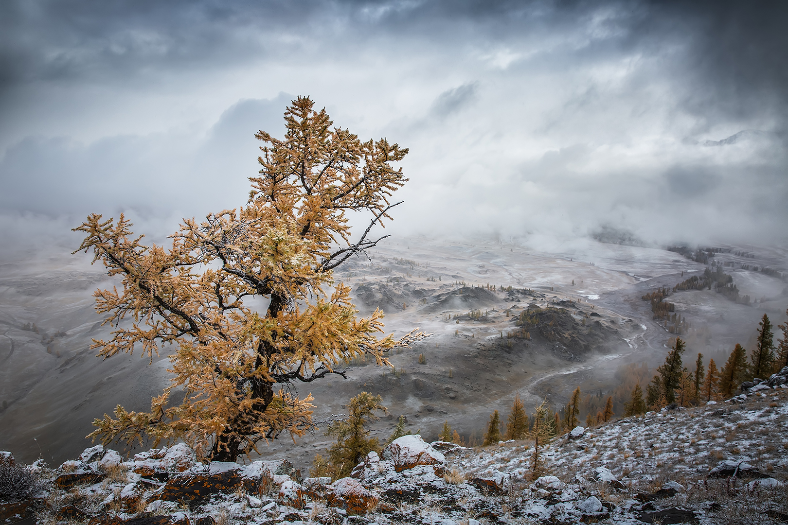 Late autumn