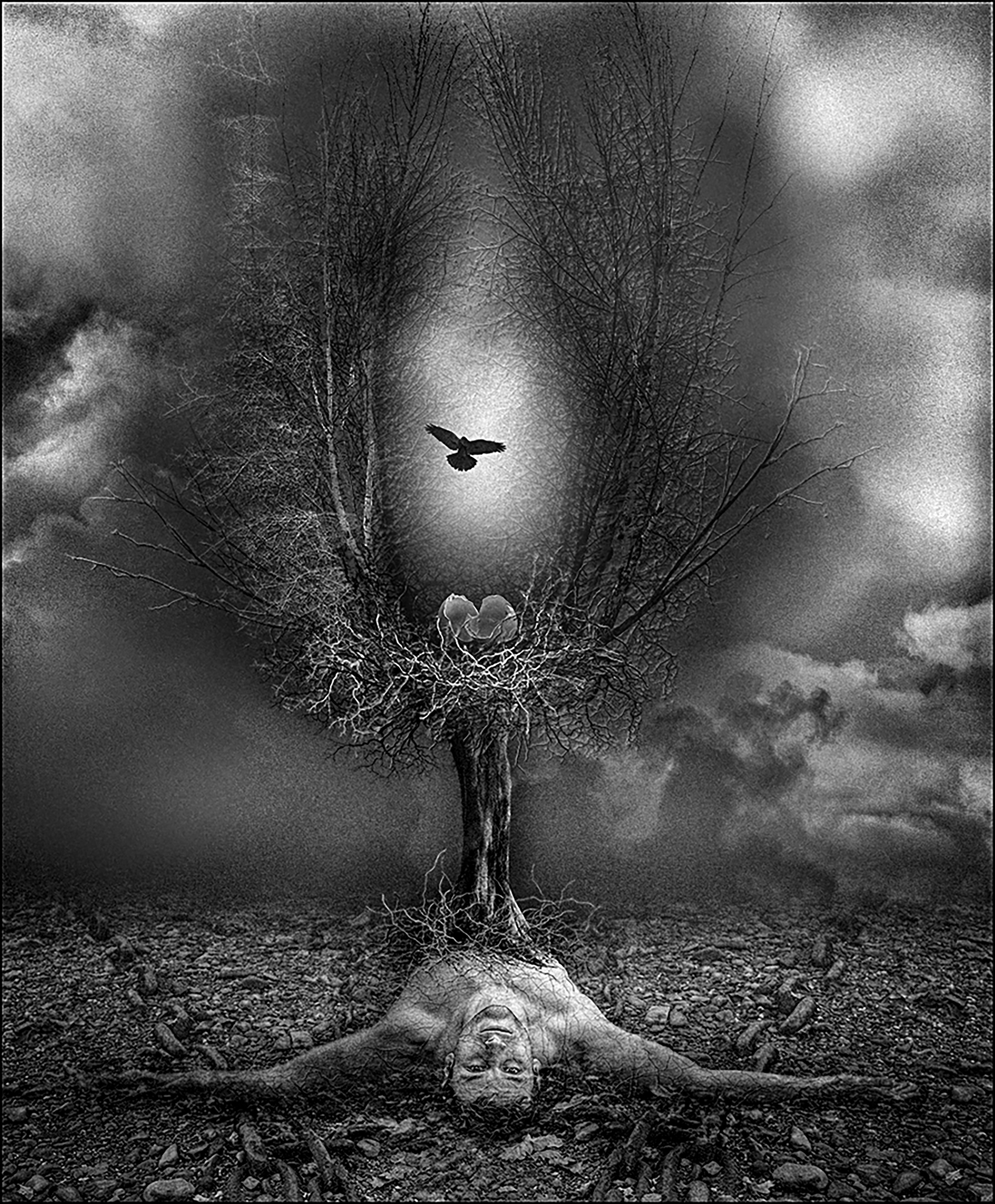 Rebirth